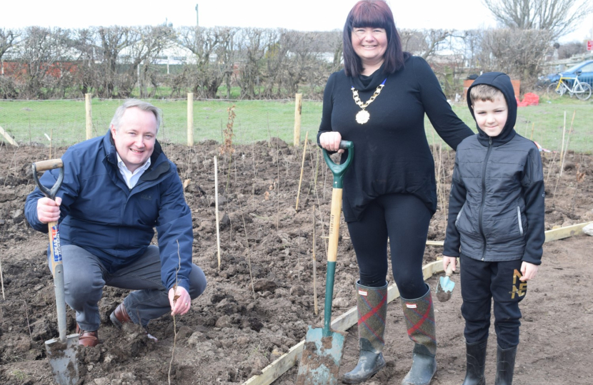 MS helps create new Tiny Forest in Kinmel Bay