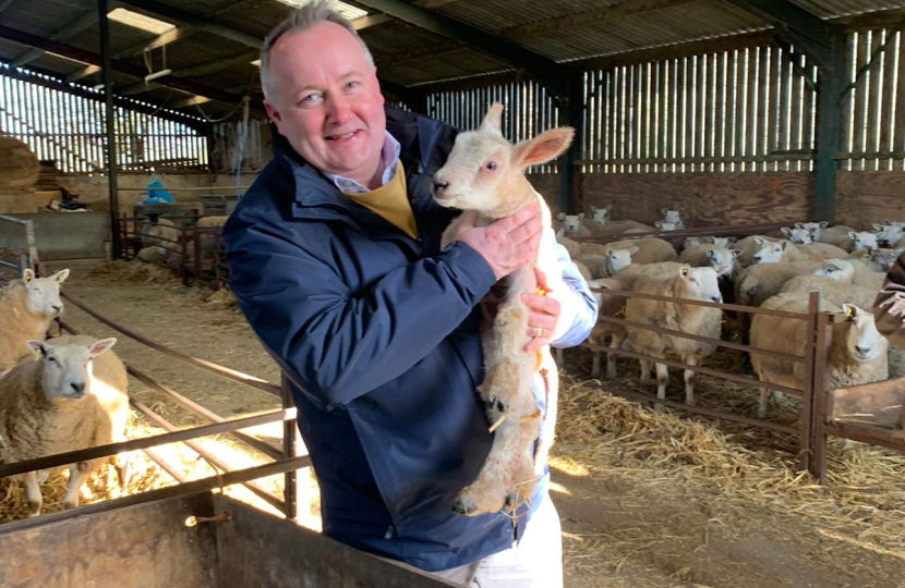 MSs meet representatives from the Farming Union of Wales down on the farm