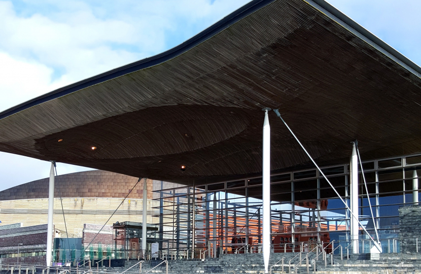 SENEDD REFORM: GIVE WALES A SAY   