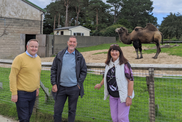 Call for the Welsh Mountain Zoo to be reopened 