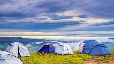 Call for Pop up campsites to be regulated 